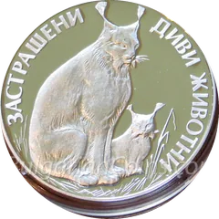 Lynx, coin