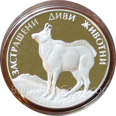 Wild Goat, coin