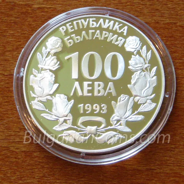 Футболист (1993), лице