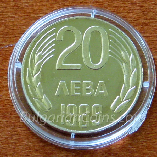 20 лева (1989), лице