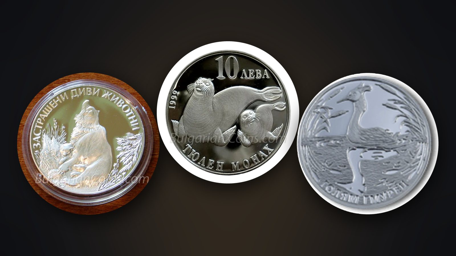 Coins suitable for children – “Bear with Cubs” 1989, “Monk Seal” 1999 and “Great Crested Grebe” 2022
