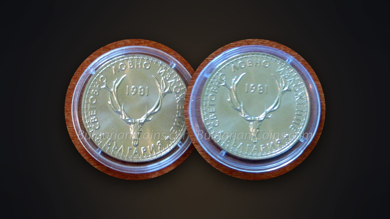 The 5 leva coin “World Hunting Exhibition EXPO ’81” in proof (matt-gloss) and BU (gloss) quality