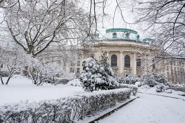 Sofia University in the snow, December 2014